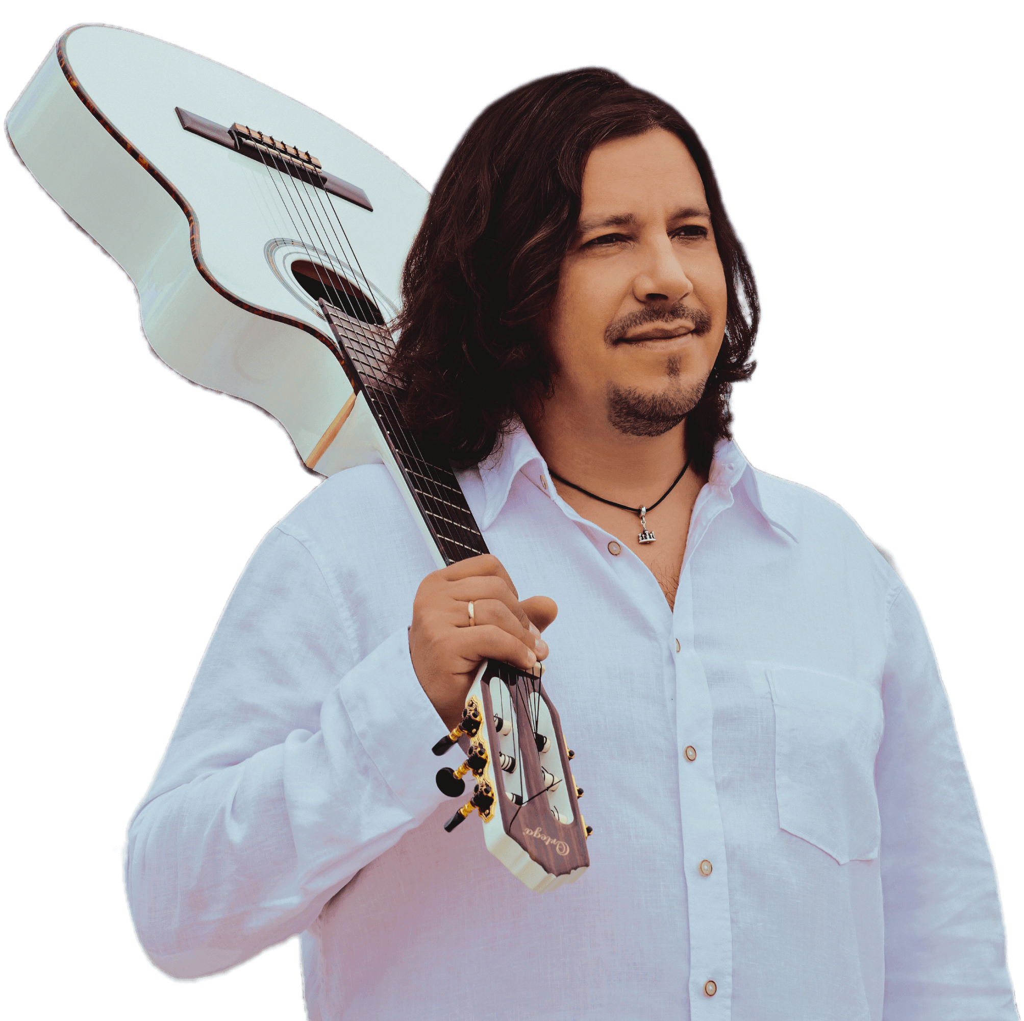 Сергей Дубровин